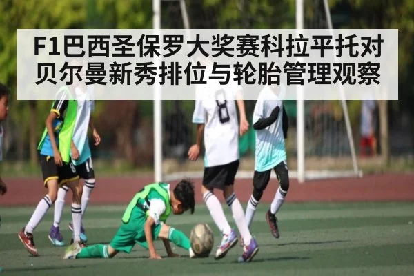 F1巴西圣保罗大奖赛科拉平托对贝尔曼新秀排位与轮胎管理观察 | c7c7.app